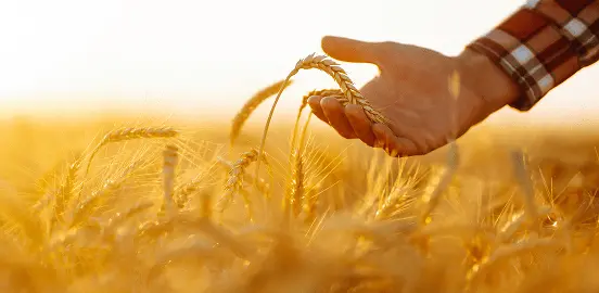 good-img1