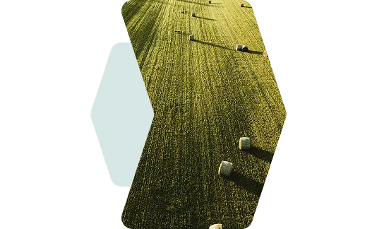 var-img2