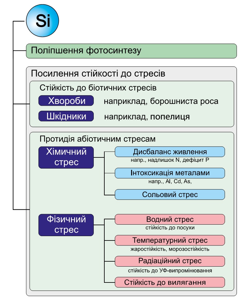 Квантум АкваСил
