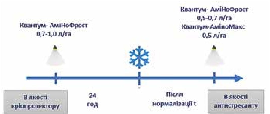 Квантум АміНоФрост