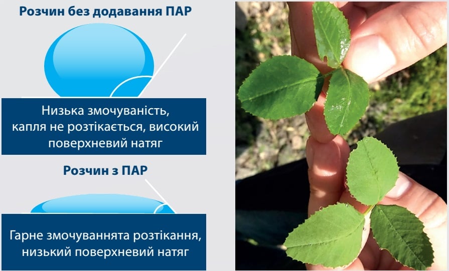 Розчин без додавання ПАР