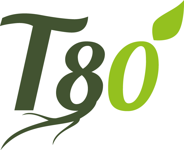 T80