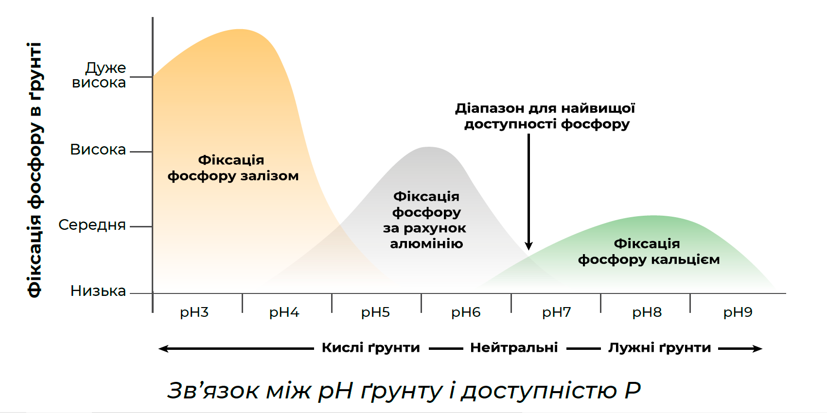 Зв'язок між pH ґрунту і доступністю P